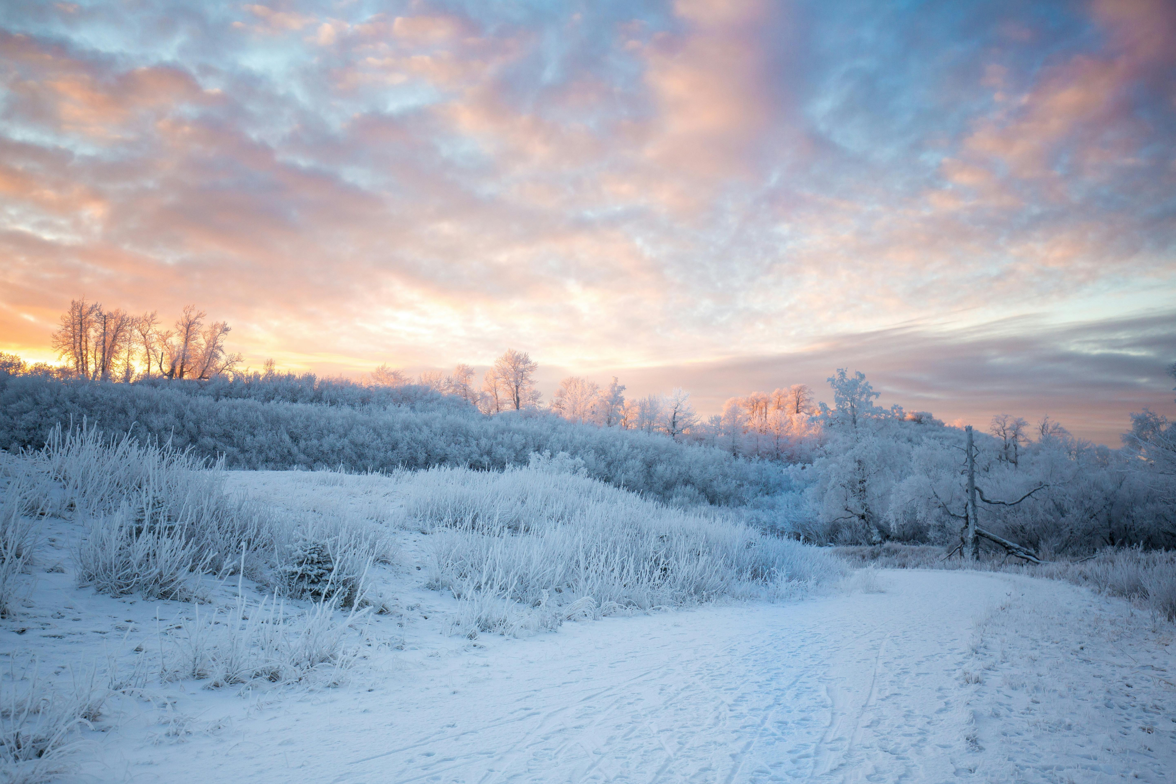 wasilla, alaska (4).webp